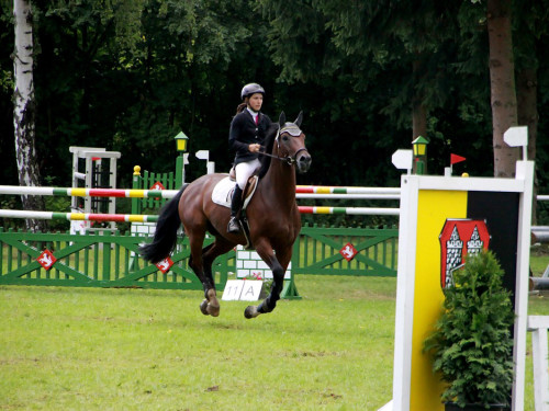 Hofer Springtage 2014 – Foto 99