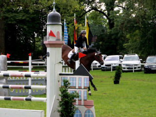 Foto 98916 im Album