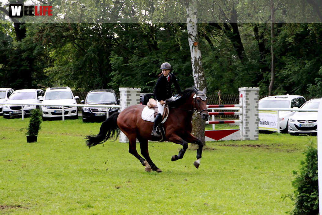 Hofer Springtage 2014