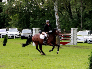 Foto 98917 im Album
