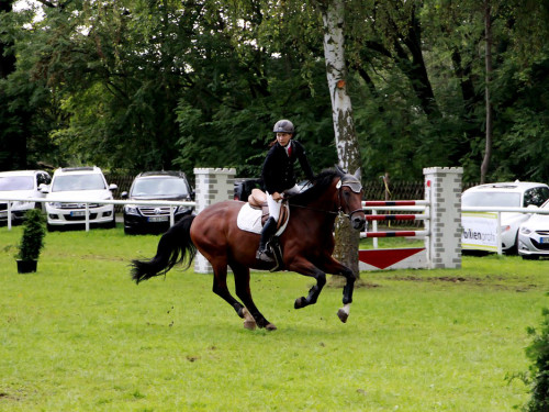 Hofer Springtage 2014 – Foto 101