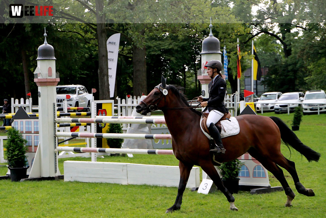 Hofer Springtage 2014