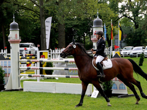 Hofer Springtage 2014 – Foto 102