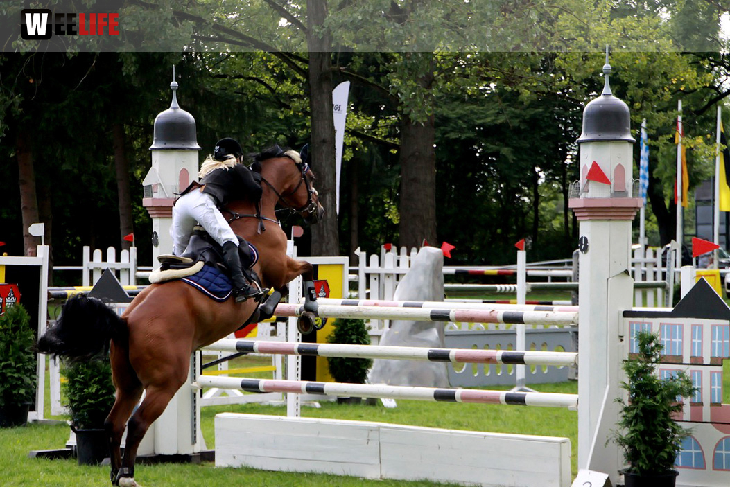 Hofer Springtage 2014