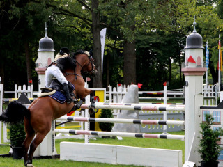 Vorschau des nächsten Fotos