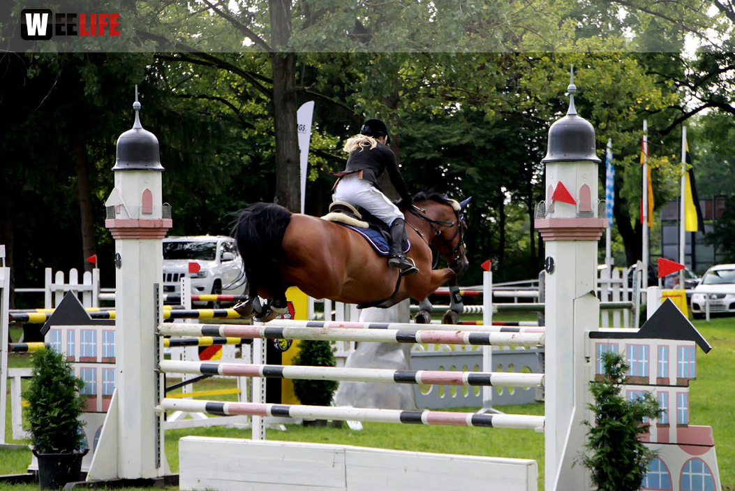 Hofer Springtage 2014