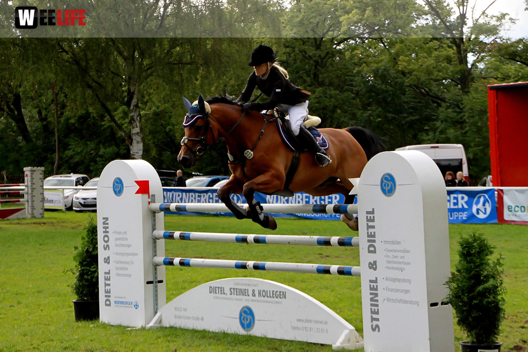 Hofer Springtage 2014