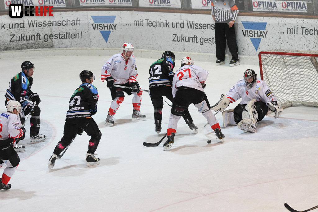 Selber Wölfe - EV Regensburg