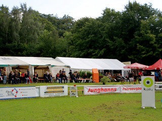 Foto 98933 im Album