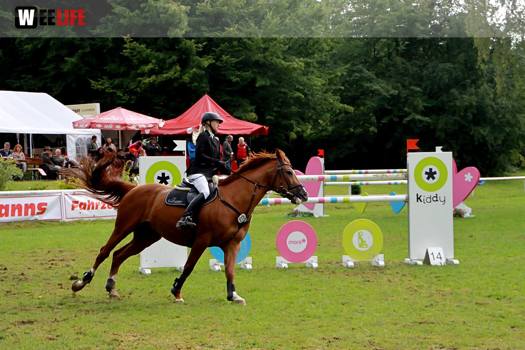 Hofer Springtage 2014