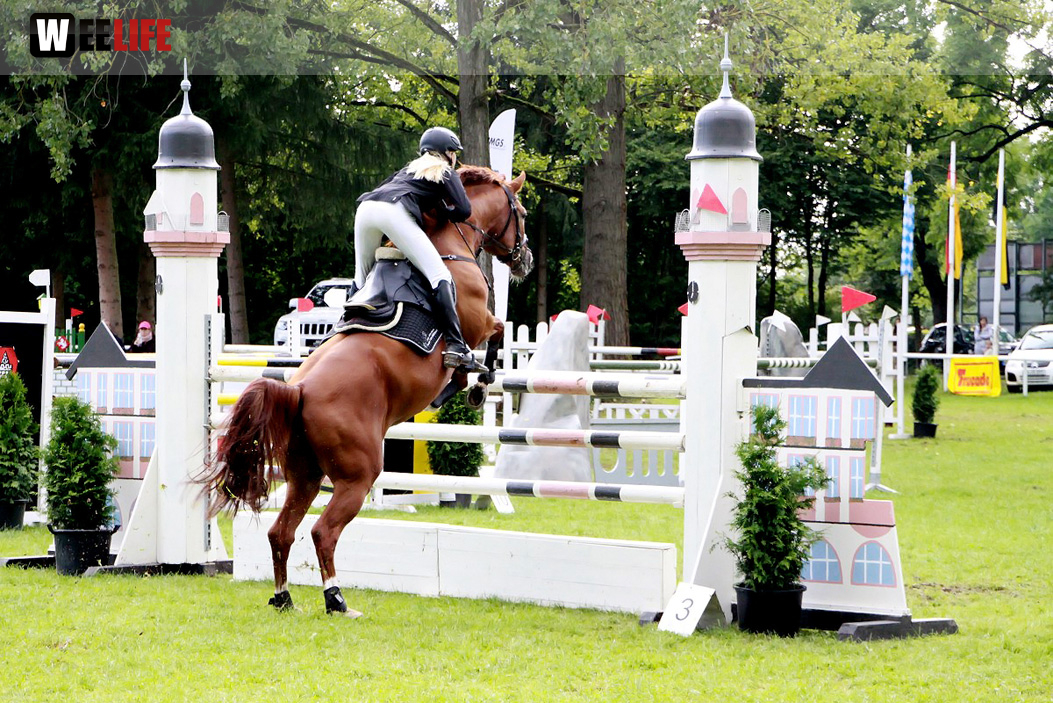 Hofer Springtage 2014
