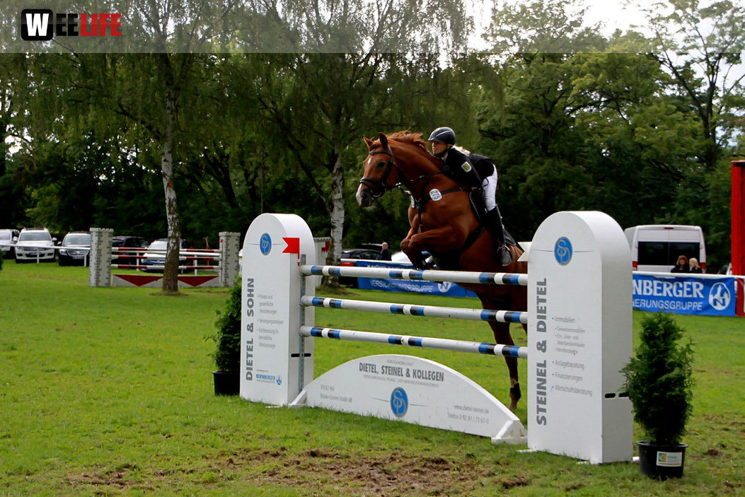 Hofer Springtage 2014
