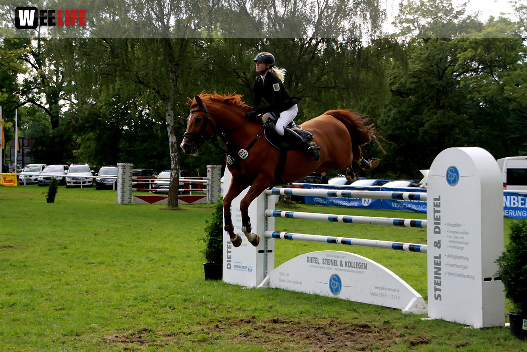 Hofer Springtage 2014