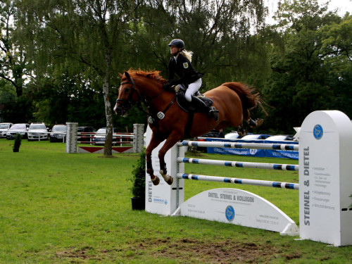 Hofer Springtage 2014 – Foto 122