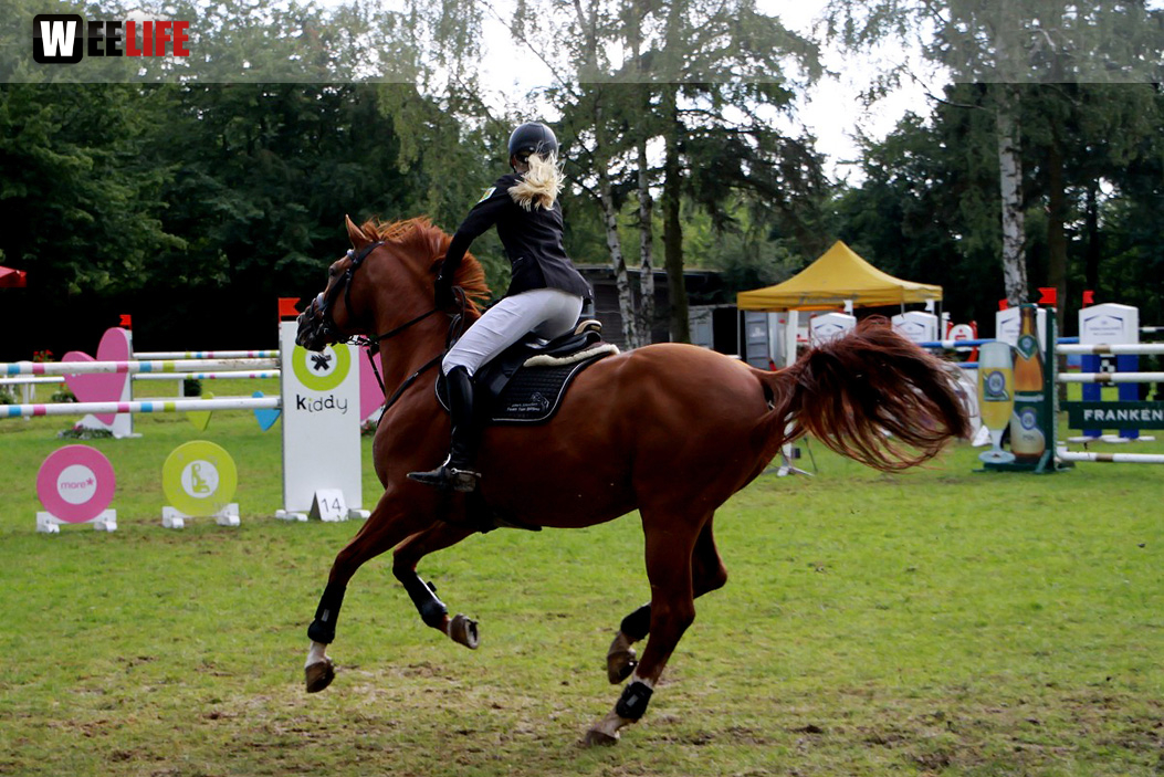 Hofer Springtage 2014