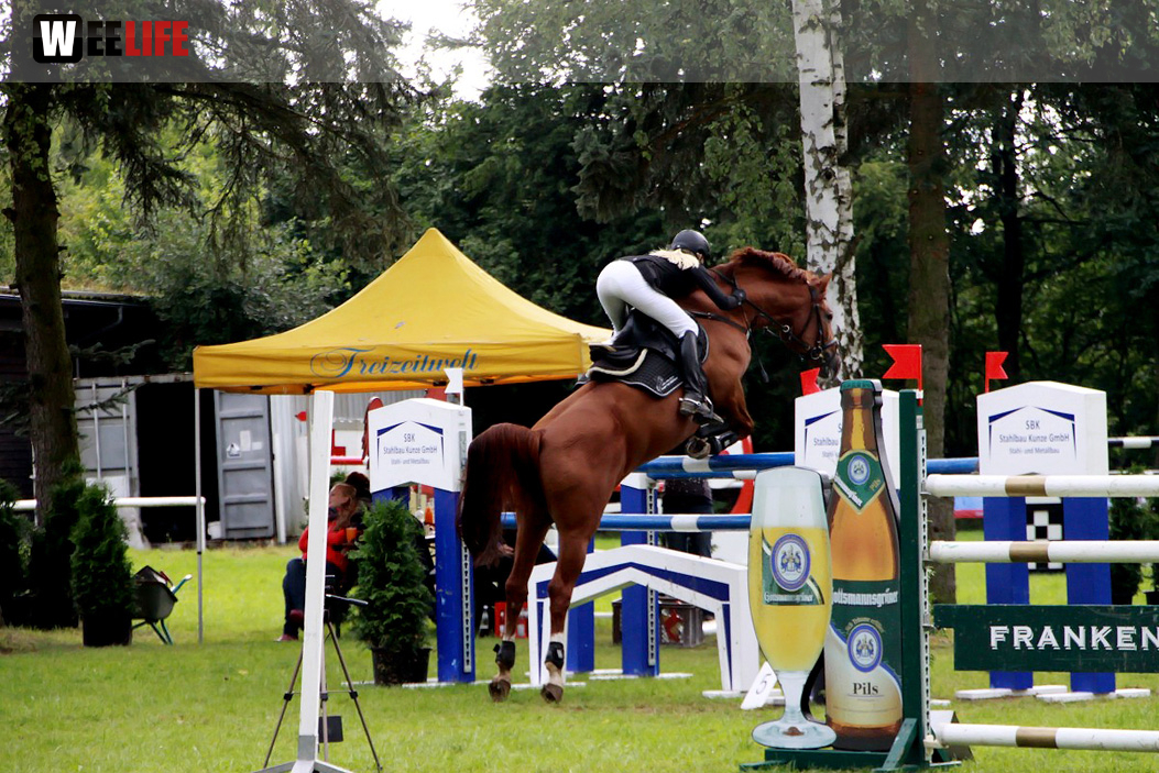 Hofer Springtage 2014