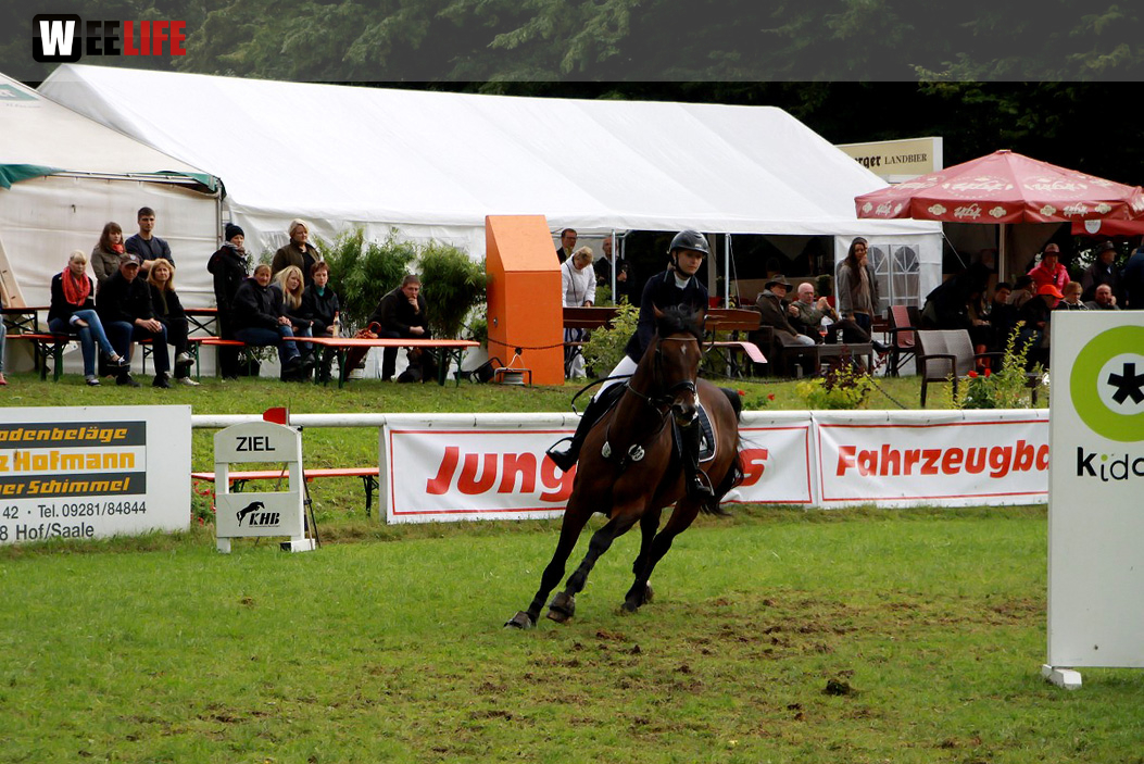 Hofer Springtage 2014