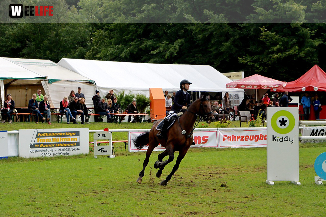 Hofer Springtage 2014
