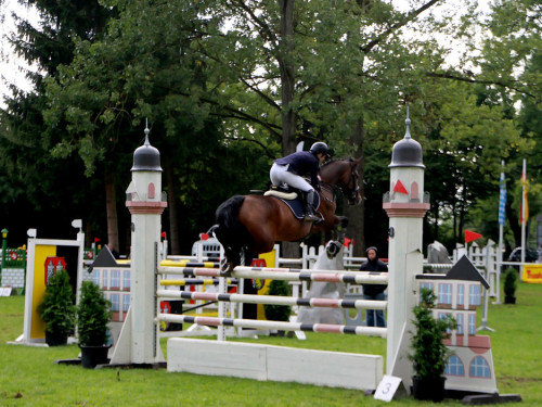 Hofer Springtage 2014 – Foto 131