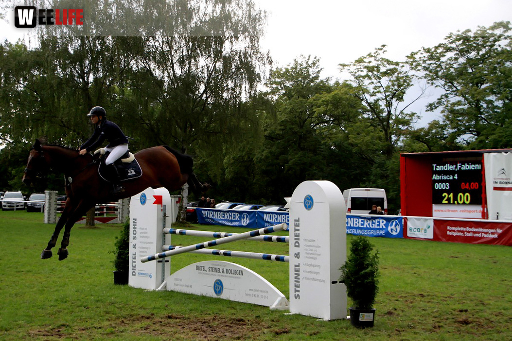 Hofer Springtage 2014