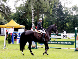Foto 98950 im Album