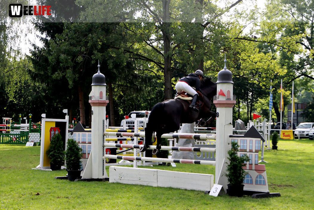 Hofer Springtage 2014