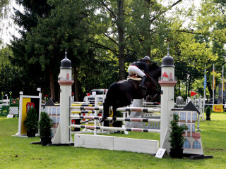 Foto 98952 im Album