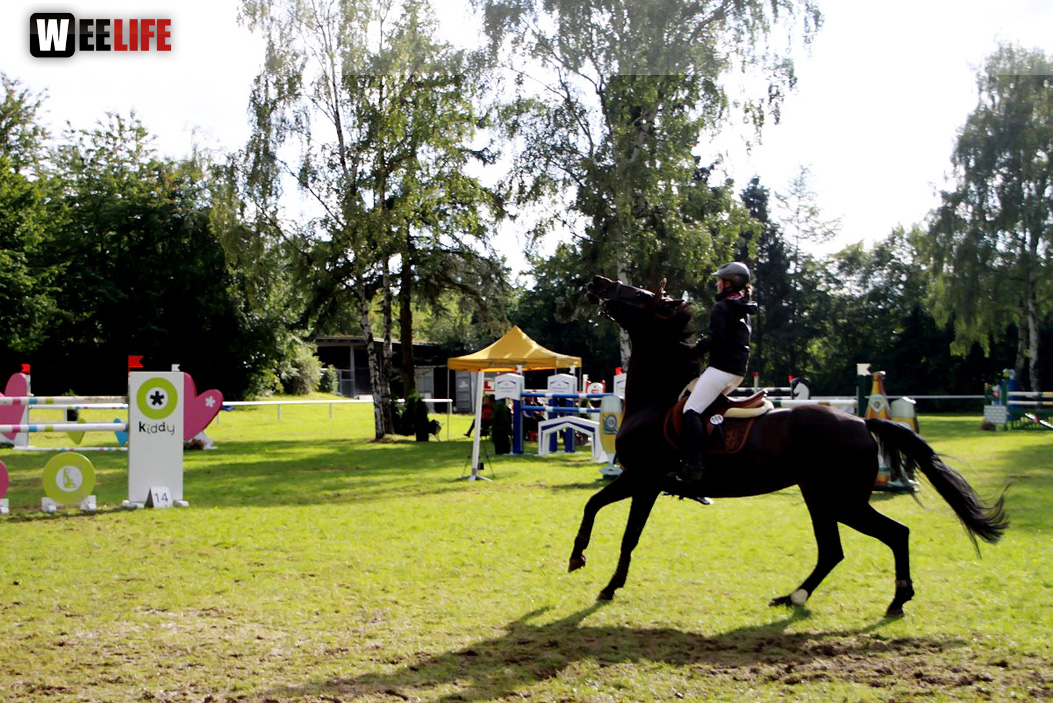 Hofer Springtage 2014