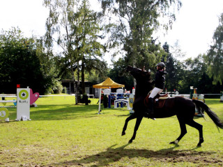 Foto 98953 im Album