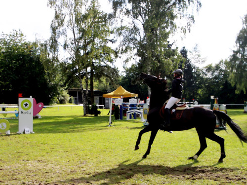 Hofer Springtage 2014 – Foto 137