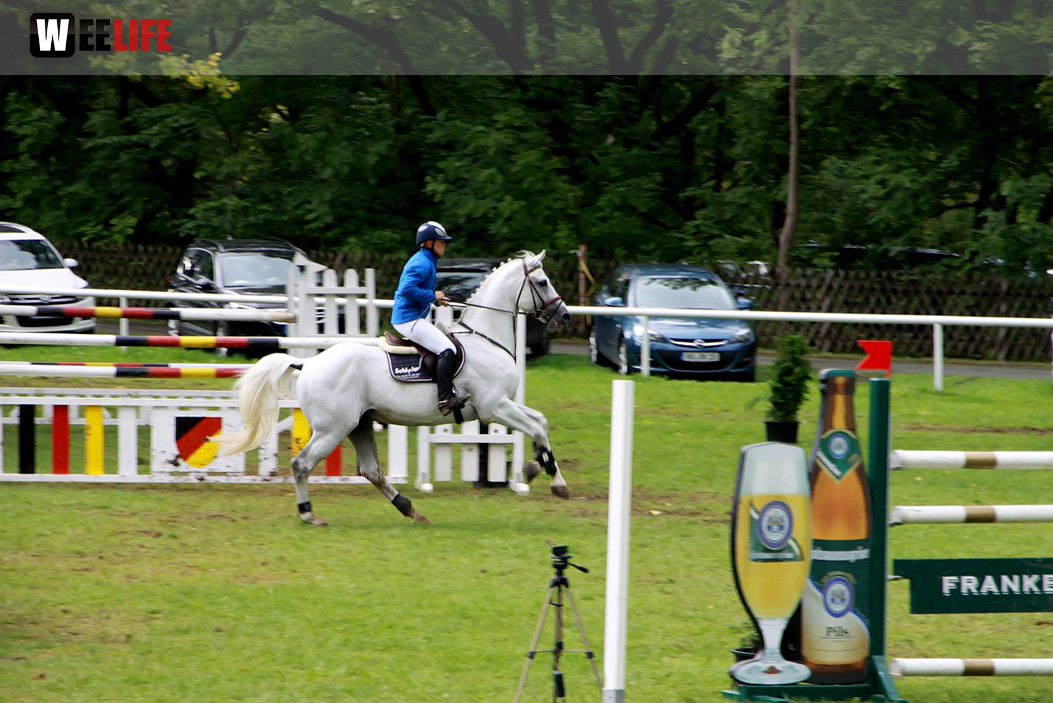 Hofer Springtage 2014