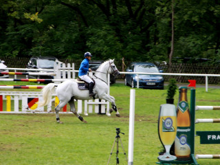 Foto 98958 im Album