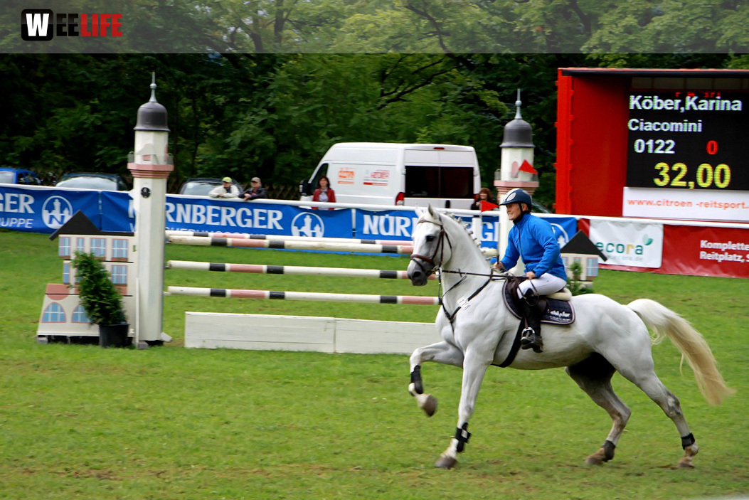Hofer Springtage 2014