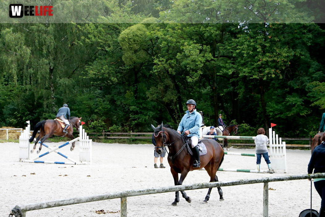 Hofer Springtage 2014