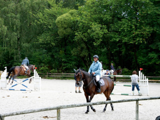 Foto 98961 im Album