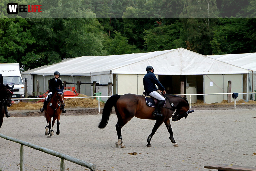 Hofer Springtage 2014