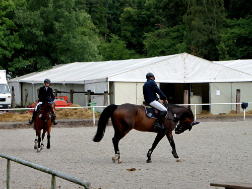 Hofer Springtage 2014 – Foto 146