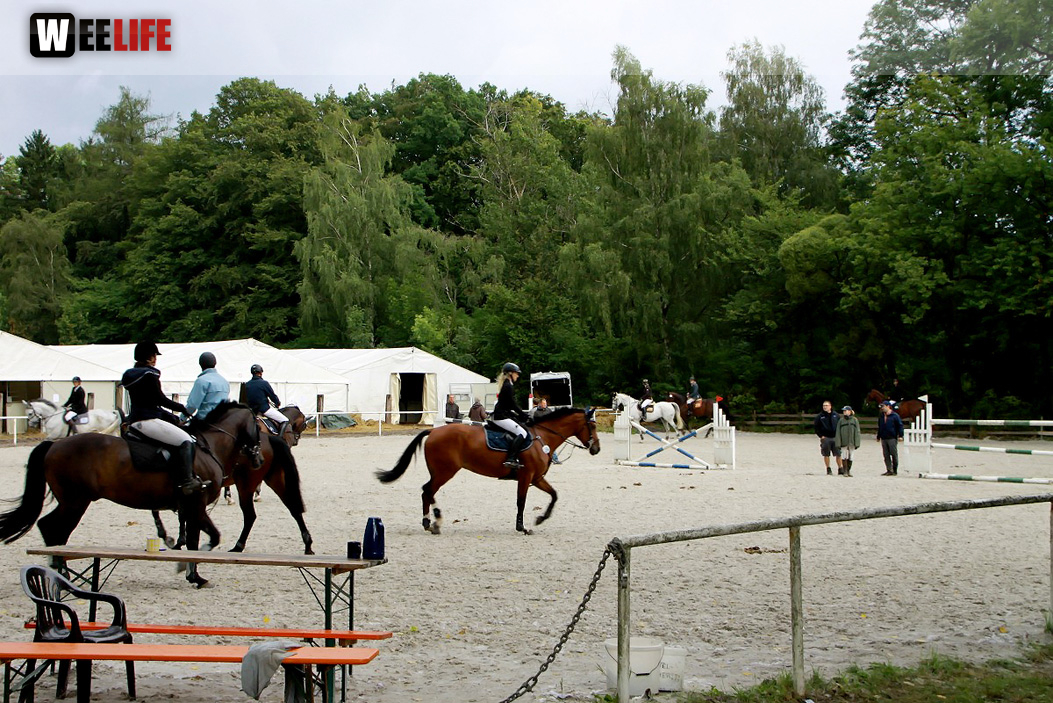 Hofer Springtage 2014