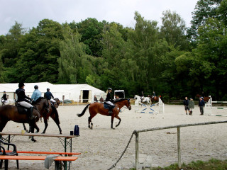 Foto 98963 im Album