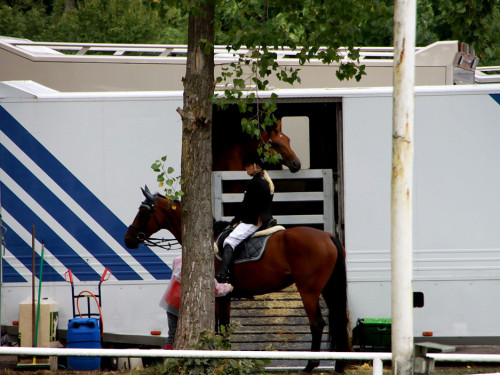 Hofer Springtage 2014 – Foto 149