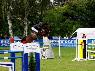 Foto 98971 im Album