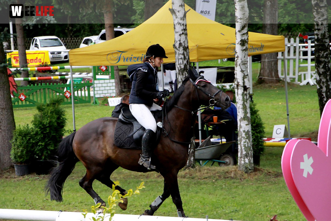 Hofer Springtage 2014