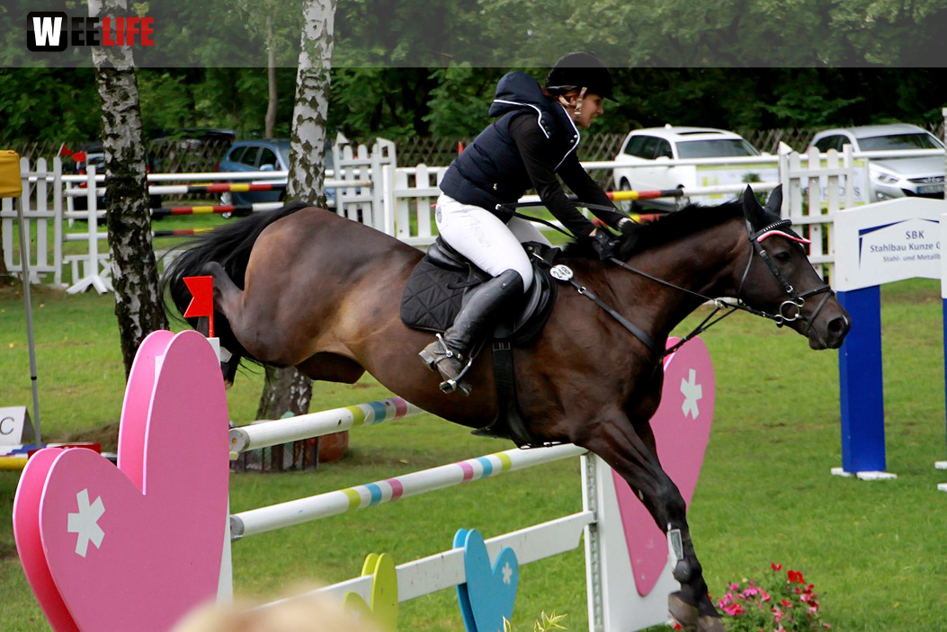 Hofer Springtage 2014