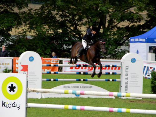 Hofer Springtage 2014 – Foto 161