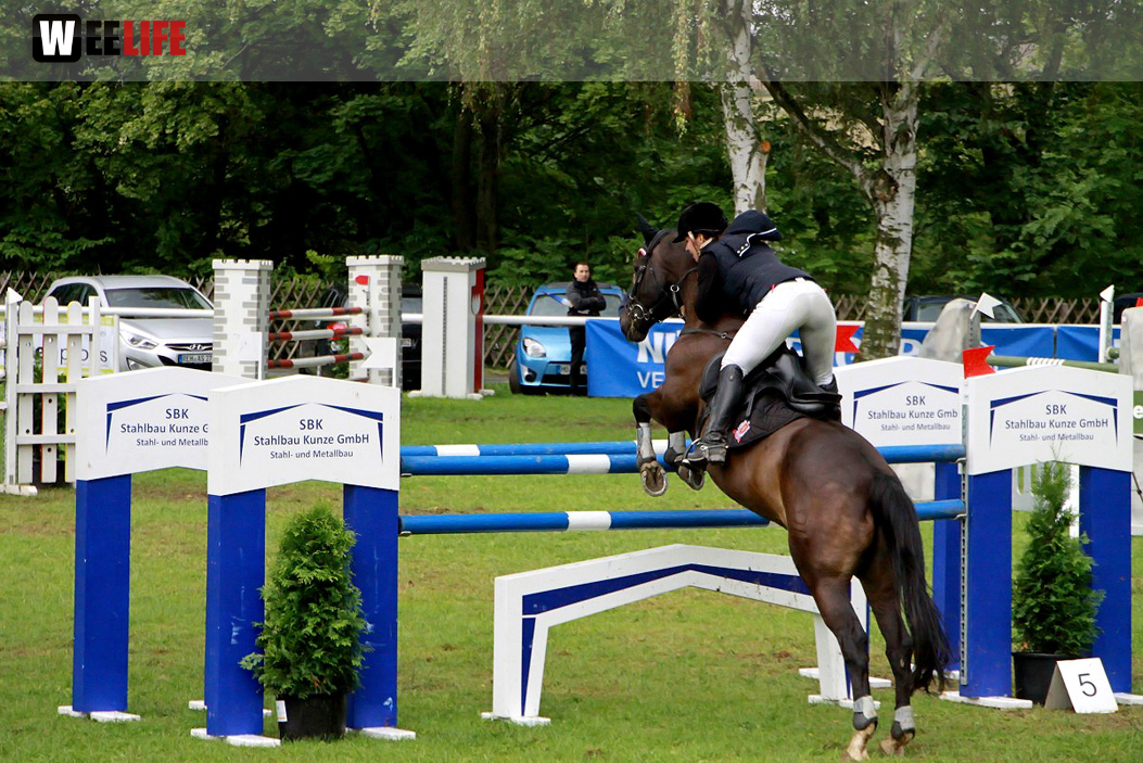 Hofer Springtage 2014