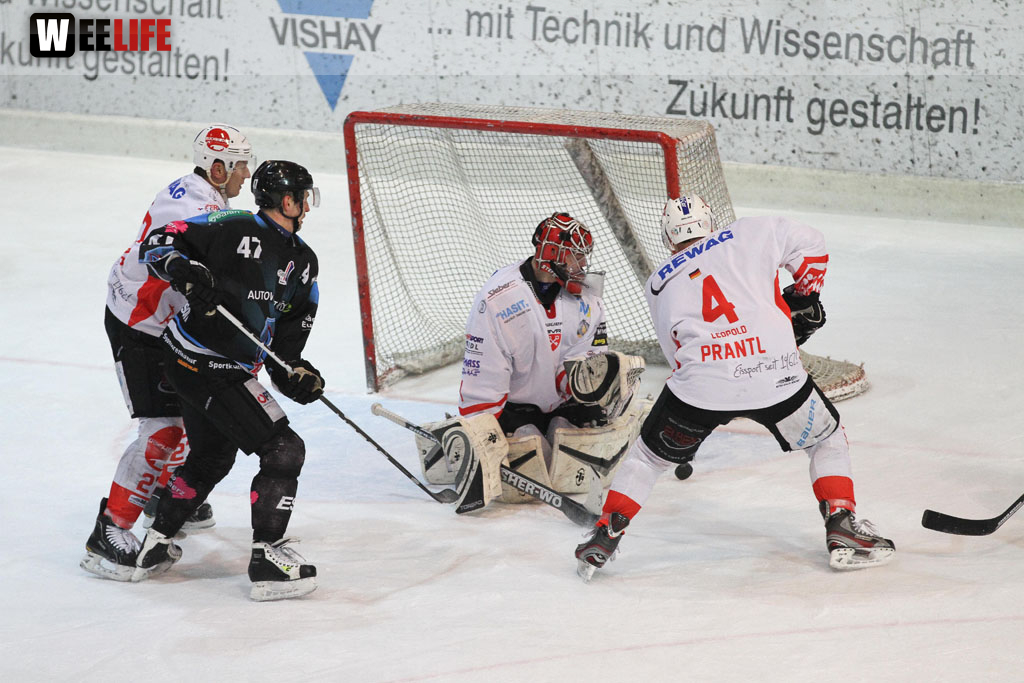 Selber Wölfe - EV Regensburg
