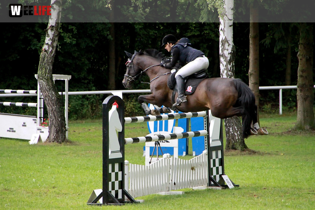 Hofer Springtage 2014