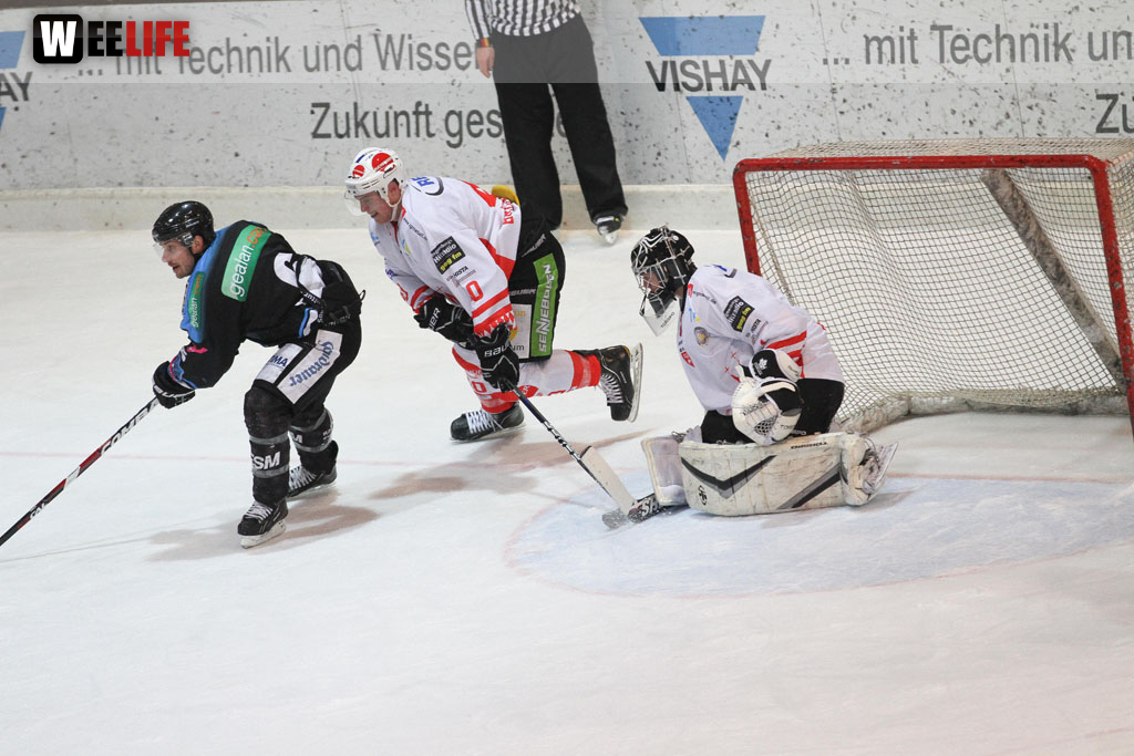 Selber Wölfe - EV Regensburg