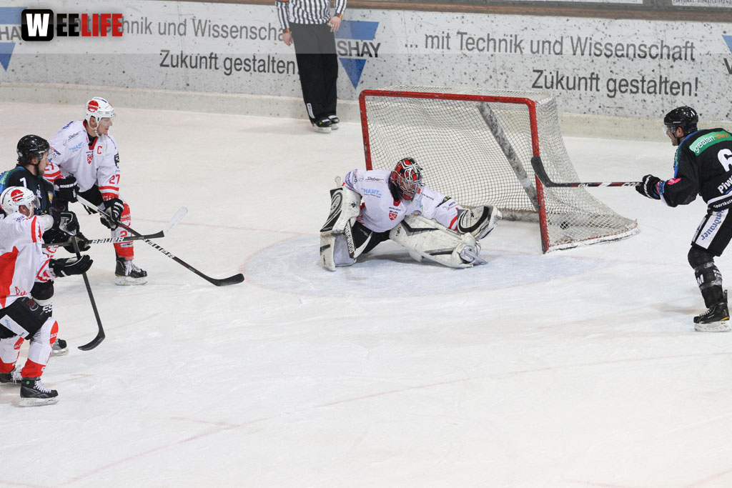 Selber Wölfe - EV Regensburg