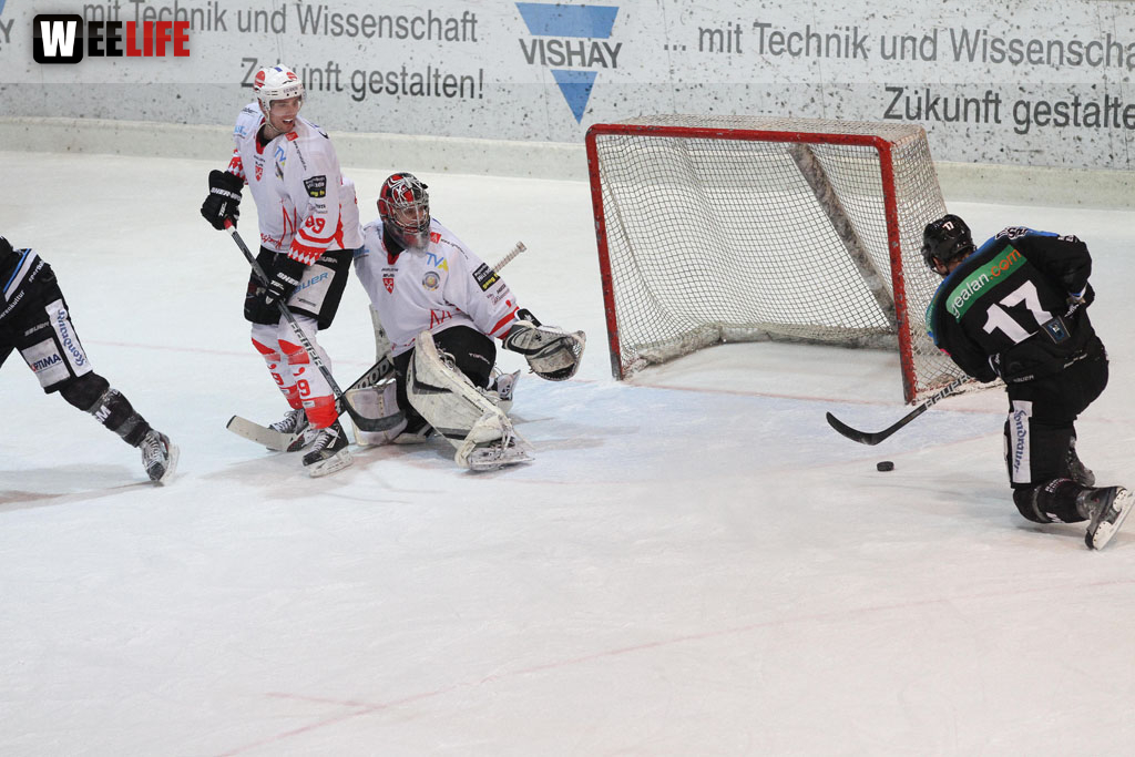 Selber Wölfe - EV Regensburg